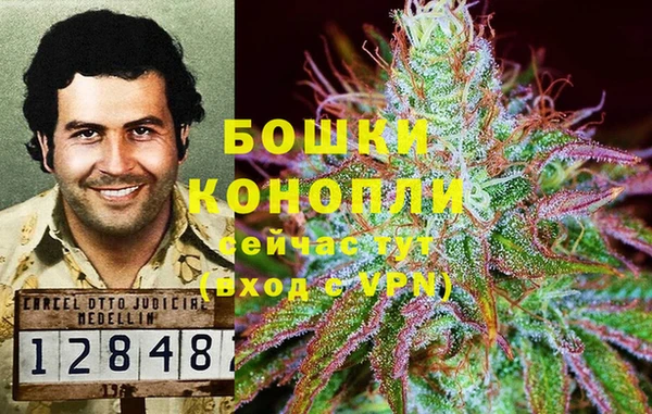 mdpv Новодвинск